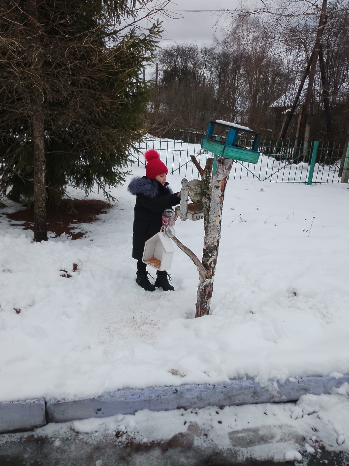 Акция &amp;quot;Покорми птиц зимой&amp;quot;.