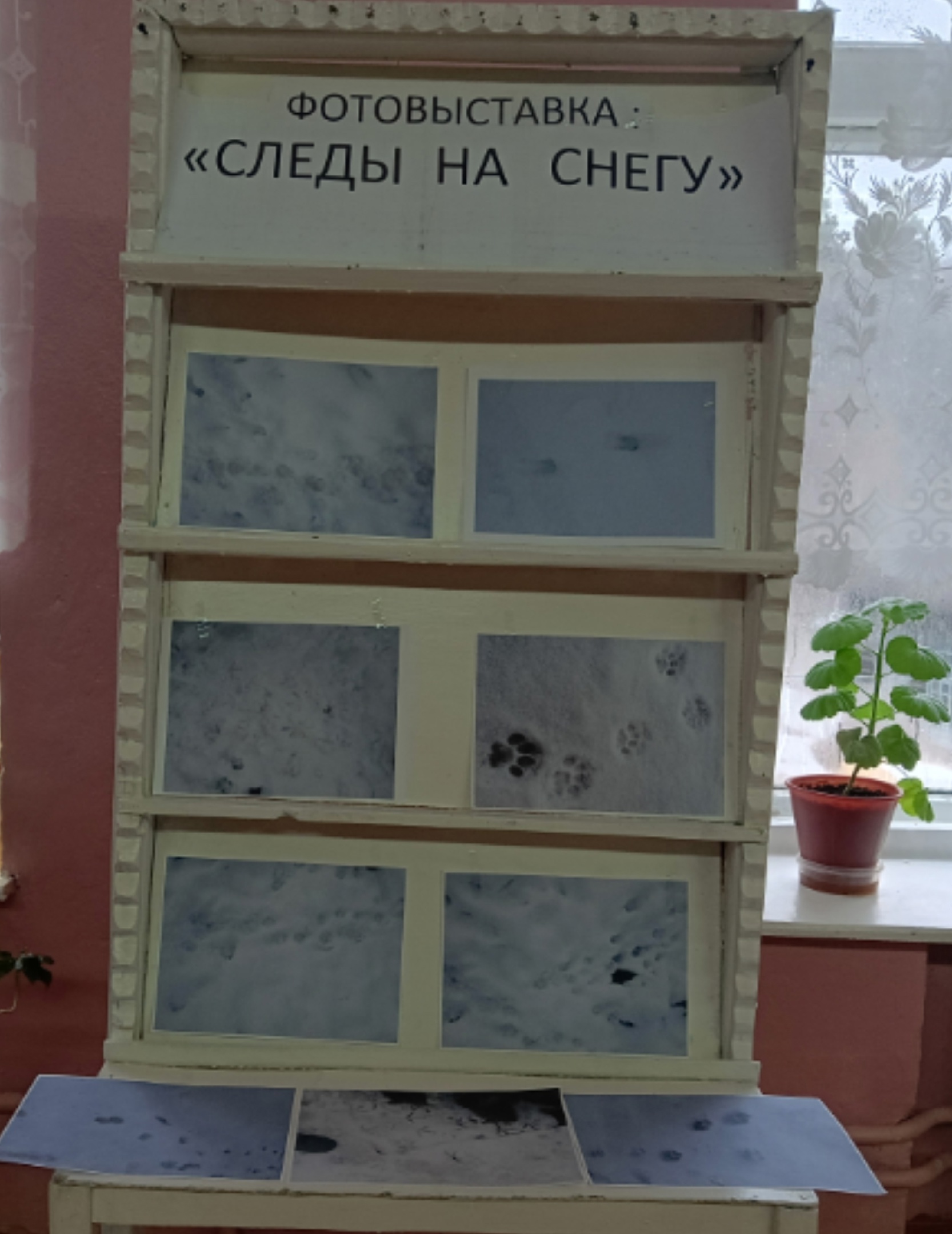 Фотовыставка &amp;quot;Следы на снегу&amp;quot;.
