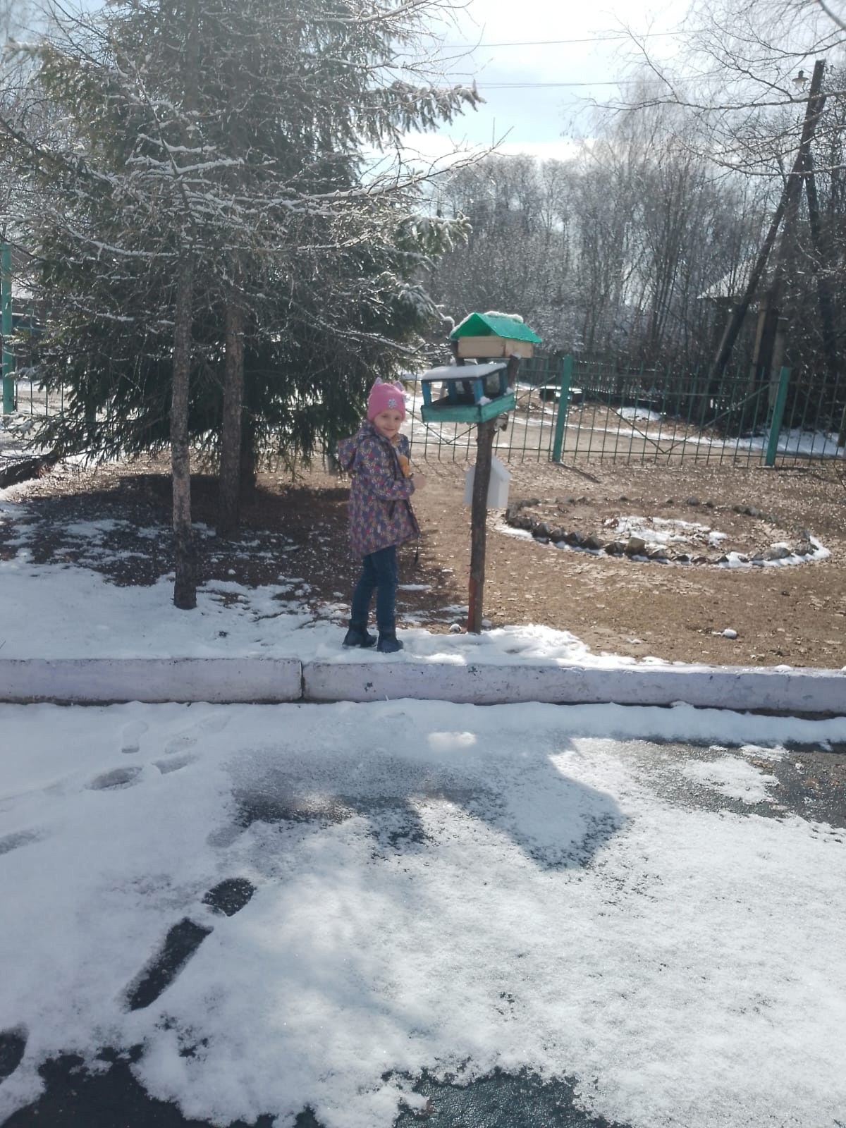 Мы помогаем нашим пернатым друзьям!.